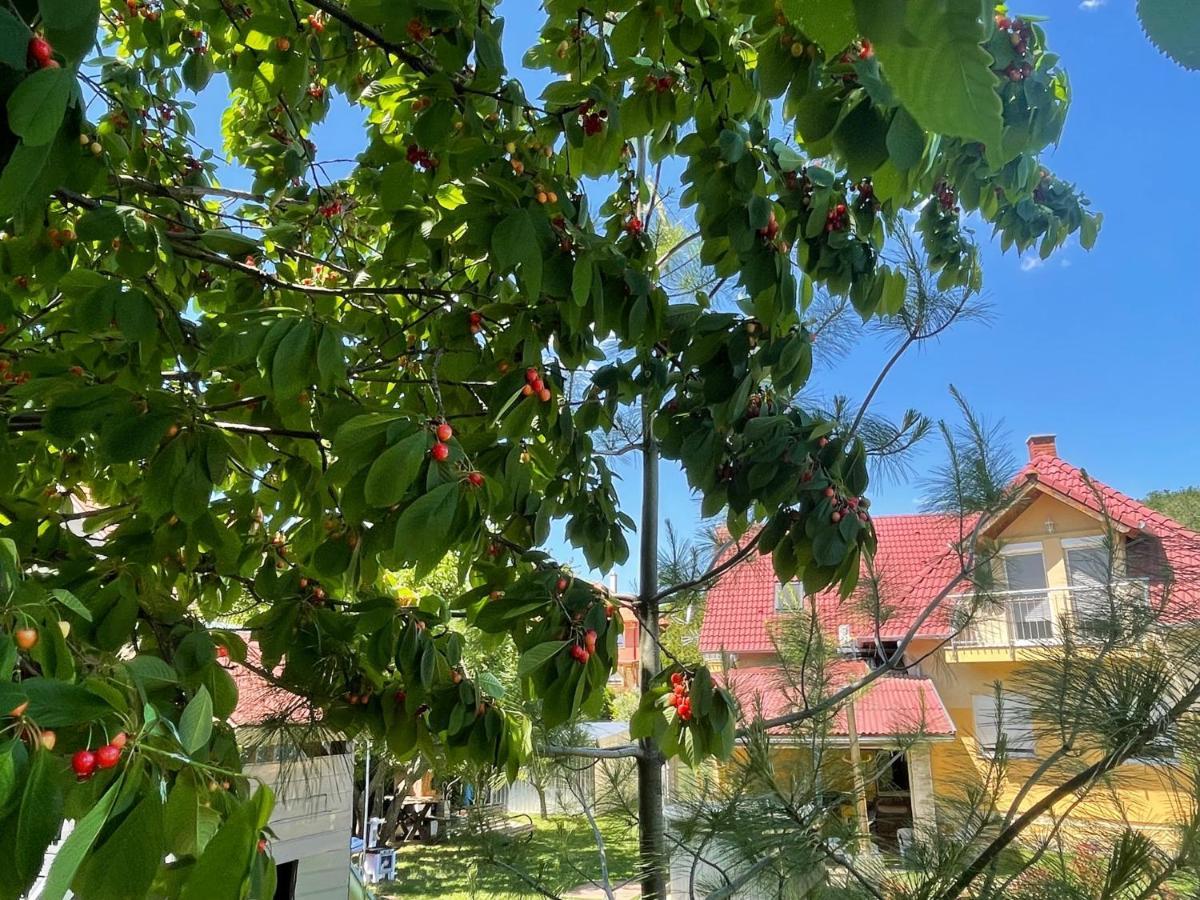 Jasmin Apartment House Vonyarcvashegy Luaran gambar